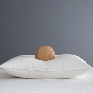 NWOT QUINCE Premium Down Pillow Soft Standard 3824